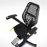 LIFESPAN R5i Recumbent Bike