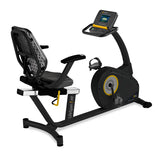 LIFESPAN R5i Recumbent Bike